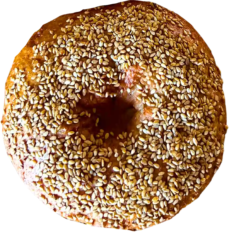 Bagel_graded_800px_CoD